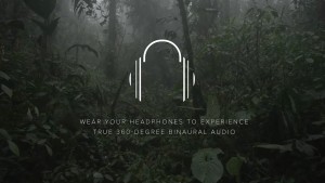 wear-your-headphones