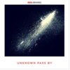 Unknown, Passby, Red libraries, comet