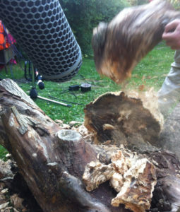 wood impacts, fiber, microphone, Red libraries