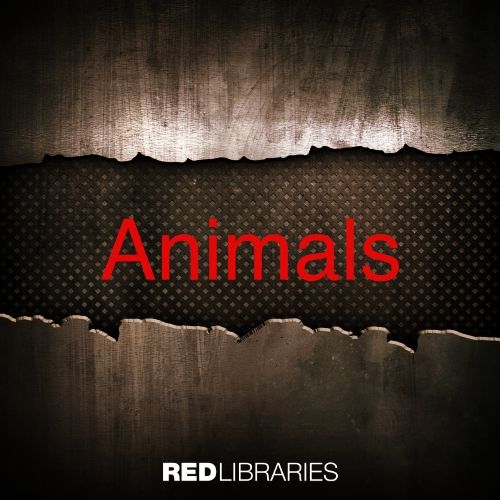 Animals
