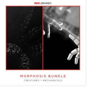 Morphosis-Bundle